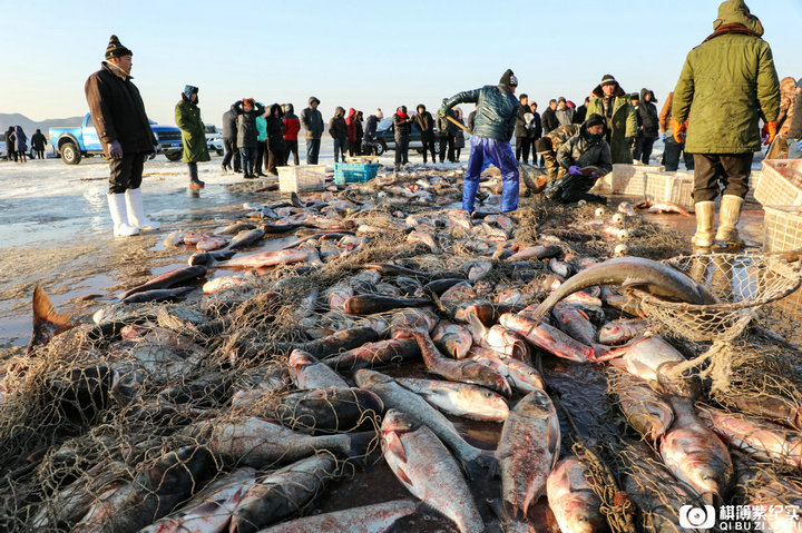 ���ţ��������~10�f��������M��1�f